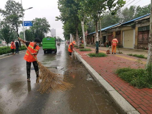 商丘環(huán)衛(wèi)部門開展道路深度清洗與設施安裝服務 全面提升市容環(huán)境品質